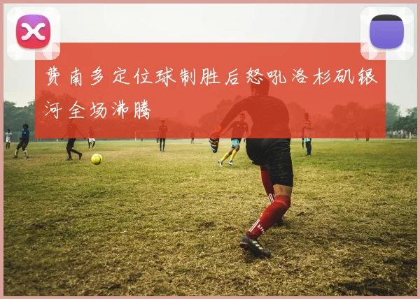 费南多定位球制胜后怒吼洛杉矶银河全场沸腾