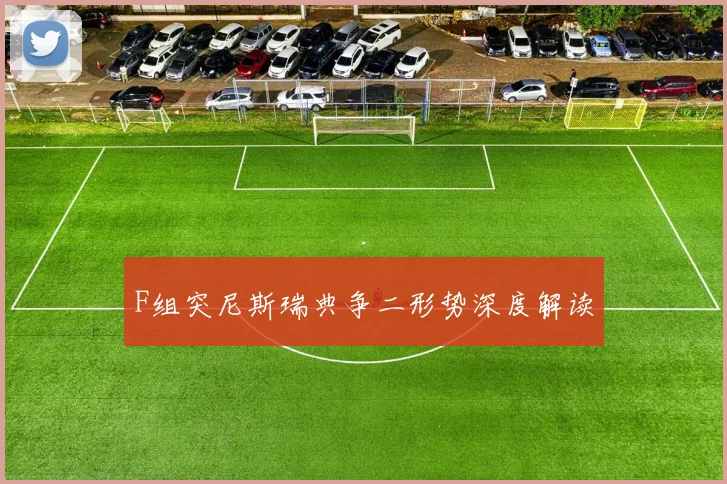 F组突尼斯瑞典争二形势深度解读