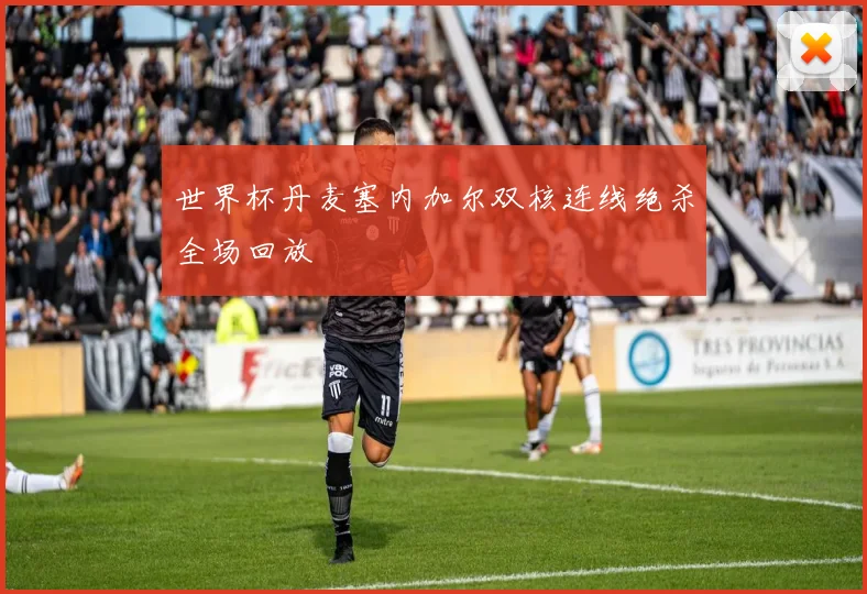 世界杯丹麦塞内加尔双核连线绝杀全场回放